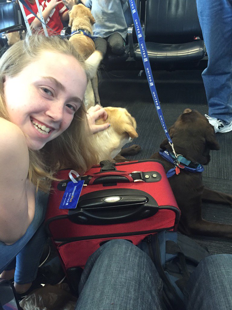 Nothing like a surprise visit from a puppy to ease the stress of a delayed flight! #UnitedPaws #ccpettherapy
