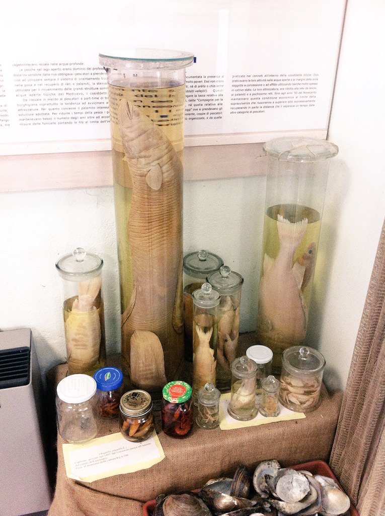 Marta Palazzetti tweet media