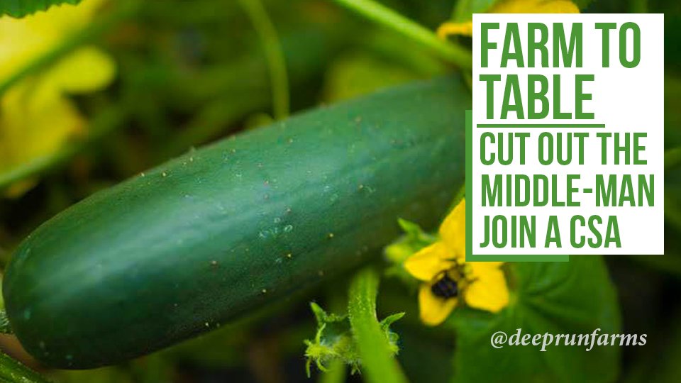 DeepRunFarms's tweet photo. Ever feel like the food you buy at the grocery isn't so fresh? Join a #CSA &amp; find out what you've been missing! https://t.co/aHB5Cv8cYx
