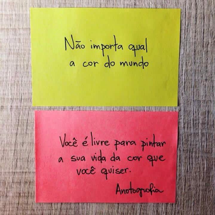 freimello's tweet photo. 🌈🌈🌈 https://t.co/ArU3jGWOZR