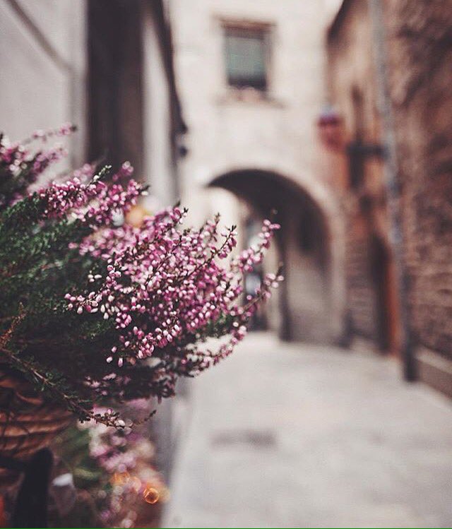 thebarcelonist's tweet image. ~ Hola Abril 🌸~
🔹Foto by @ piensaenverdes 
#bcn #barcelona #spring #primavera #callesdebcn #nuestrabcn #bcnlovers