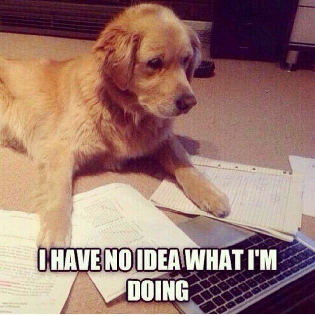 PollyPhonic's tweet image. Me writing this assignment #pgceproblems