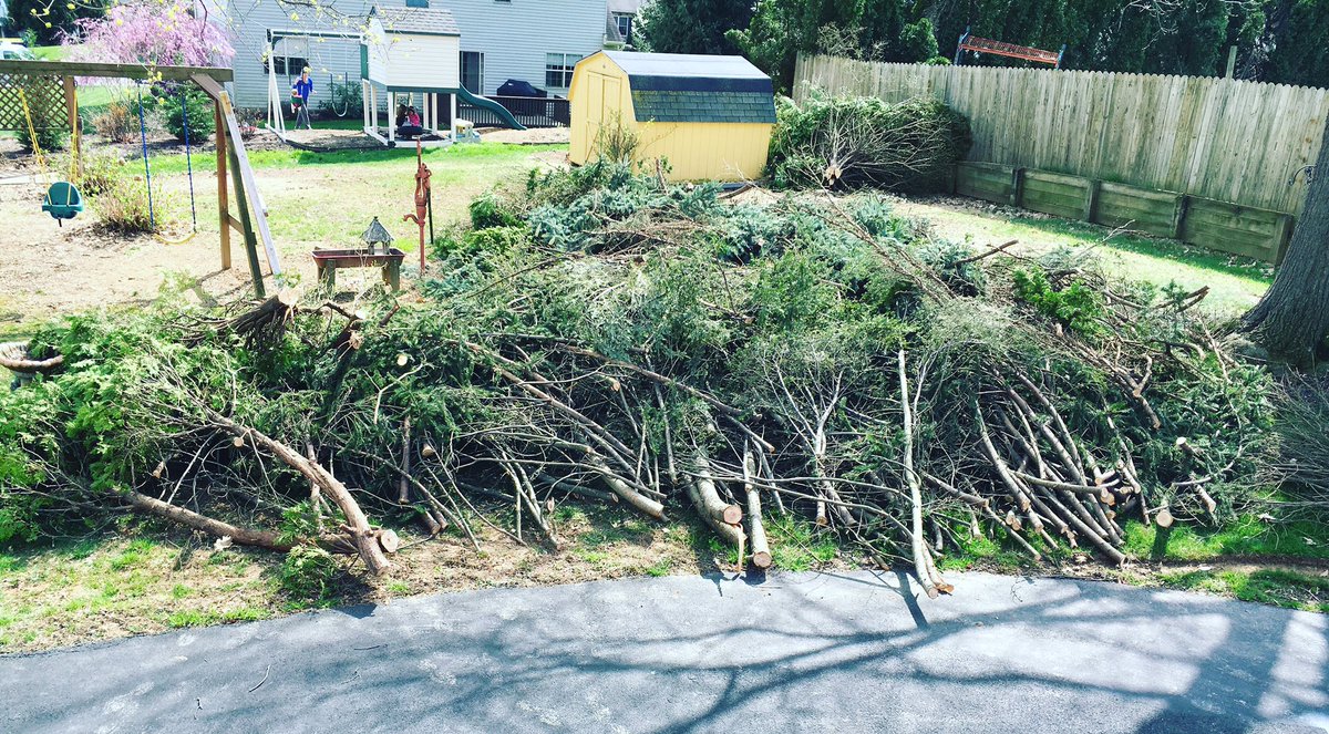 I_am_Ryit's tweet photo. Anybody want some kindling? #byebyetrees https://t.co/wB9ld03ys5