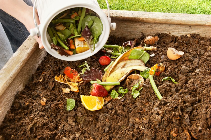 Waste not, grow more food: Students' device makes composting easier - bit.ly/1StmKmB <a href="/TechXplore_com/">TechXplore</a>