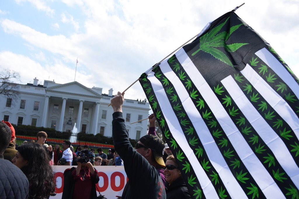 DavidKram's tweet photo. #WeedthePeople #Reschedule420 #EndProhibition #MarijuanaSaves #ItsMedicine #GetEMRLD @GetEMRLD #cannabis #mj #weed https://t.co/3ui8KMllcN