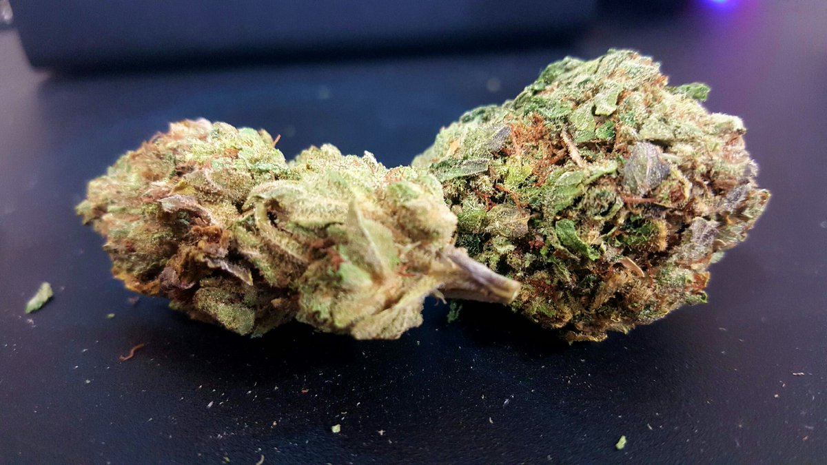 OHCS202's tweet photo. COME GET SOME #FIRE #OG  8ths are ONLY $35 @WeedReview420 @MaryJaneBiz @CaliforniaCann @MMJHotline @cannabisclubs https://t.co/LUUAZqBdUd
