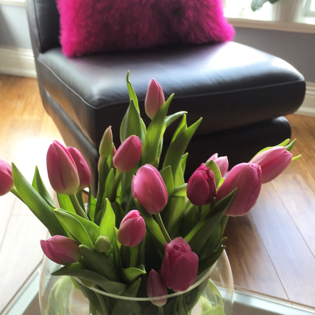 tinalovespinot's tweet image. A pop of pink 
#freshflowers #tulips #bringinspring #condoliving