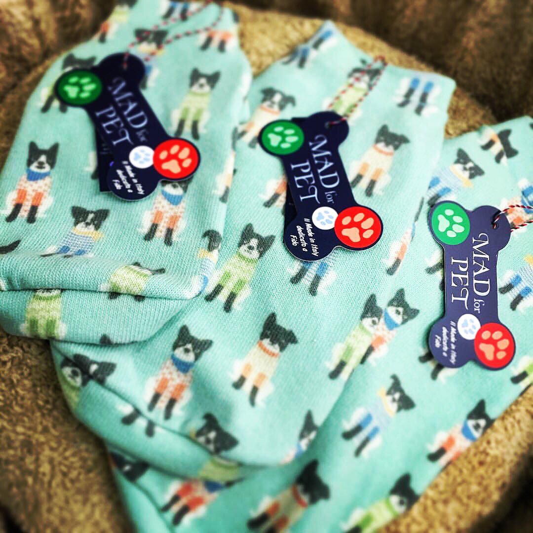 madforpetdf's tweet image. #SpringSummer2016Collection
madforpet.it
donatella.madforpet@gmail.com
fabio.madforpet@gmail.com