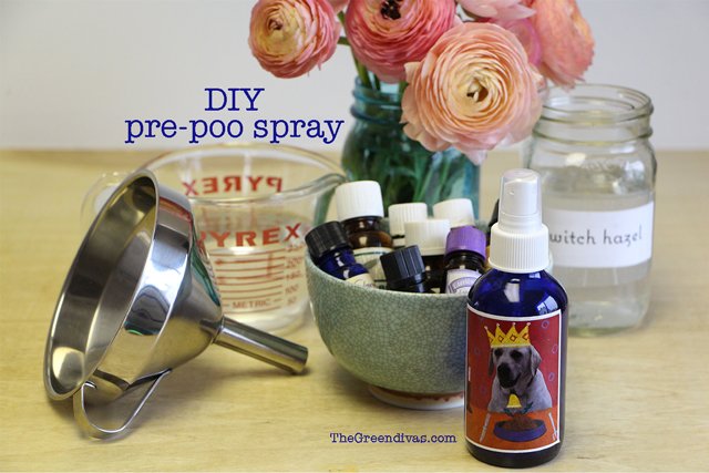GreenDivaMeg's tweet photo. don't be a stinky pooper #GDVideo #DIY #tutorial: pre-poo spray #natural #nontoxic https://t.co/zOjpH3TAZ3 https://t.co/grCOGMg33j