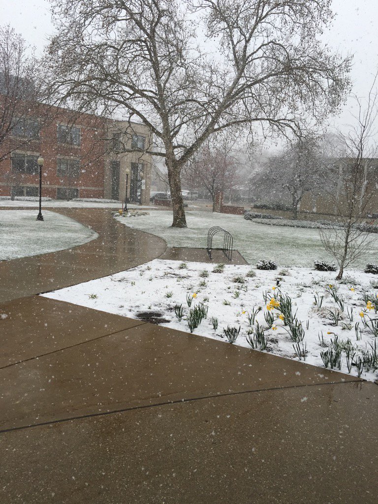 hope_cfl's tweet photo. Happy April 2! https://t.co/LXcXQtiQ3j