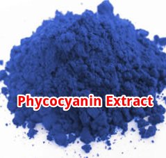 SirNatural's tweet photo. Phycocyanin, the wonder molecule. It has lots of health benefits and comes from spirulina https://t.co/nuQeQAsFho https://t.co/2YQCNBAvd8