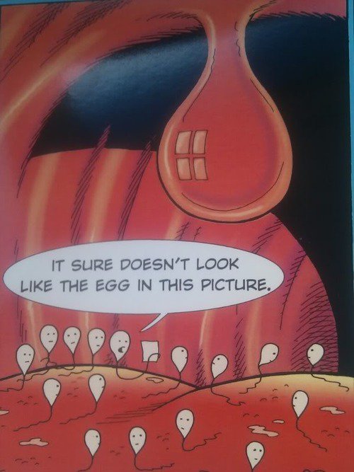 FrikadellieMad's tweet photo. #OopsSomethingWentWrong #oops 😳 https://t.co/ckkTzvT6Y5