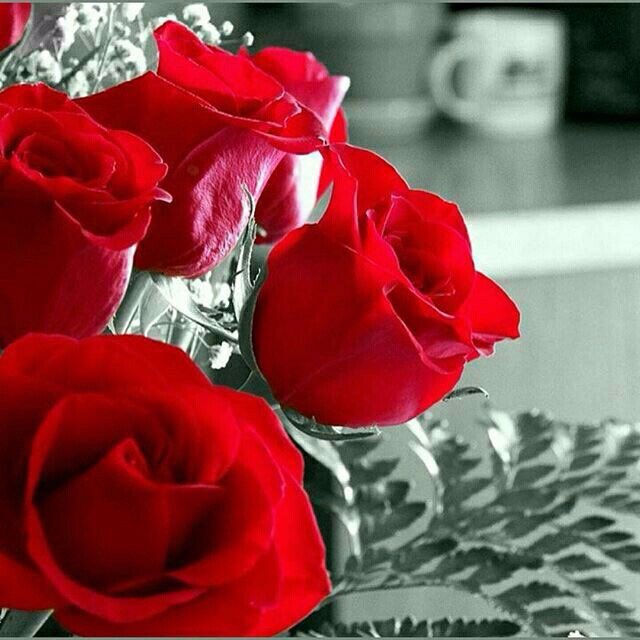 جَمال الرُوح : هُو انْ تَبتسم .. وجَمال ٱﻟخُلق : هو أنْ تَجعَل غَيركَ يبتَسم. مساء الجمال