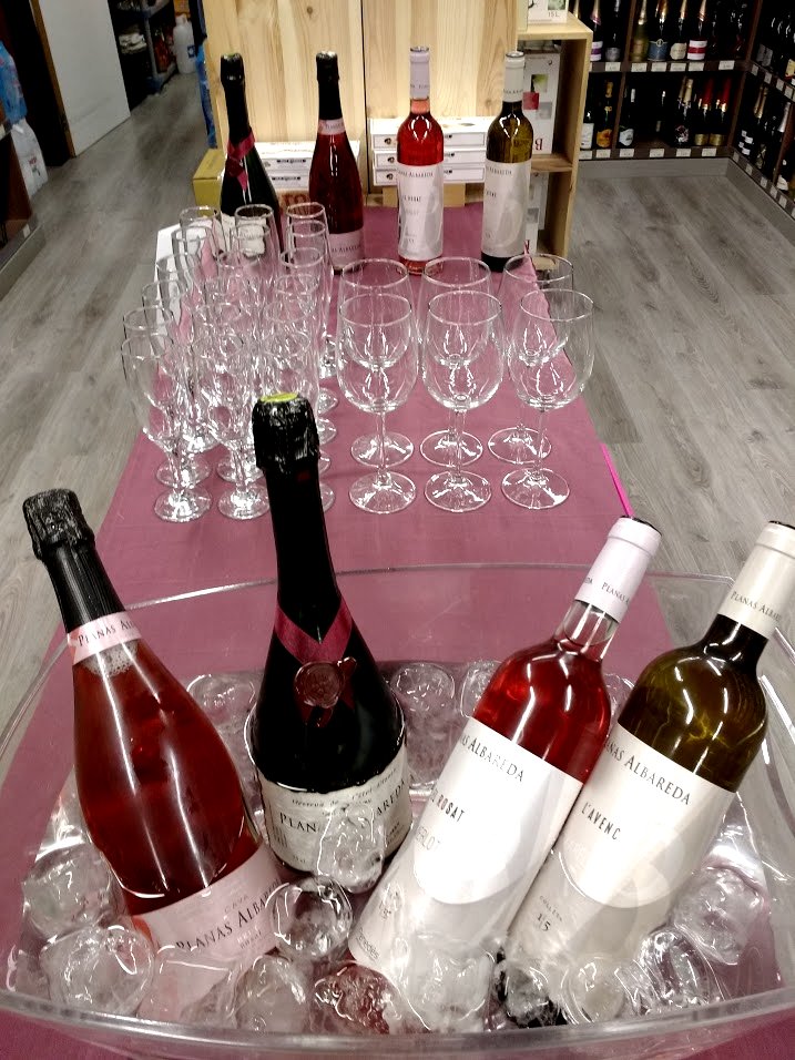 VinaliumRubi's tweet photo. A punt de continuar el tast de #Degustación gratuita #Vinos y #cavas de  #PlanasAlbareda https://t.co/QytB9CRIJ4