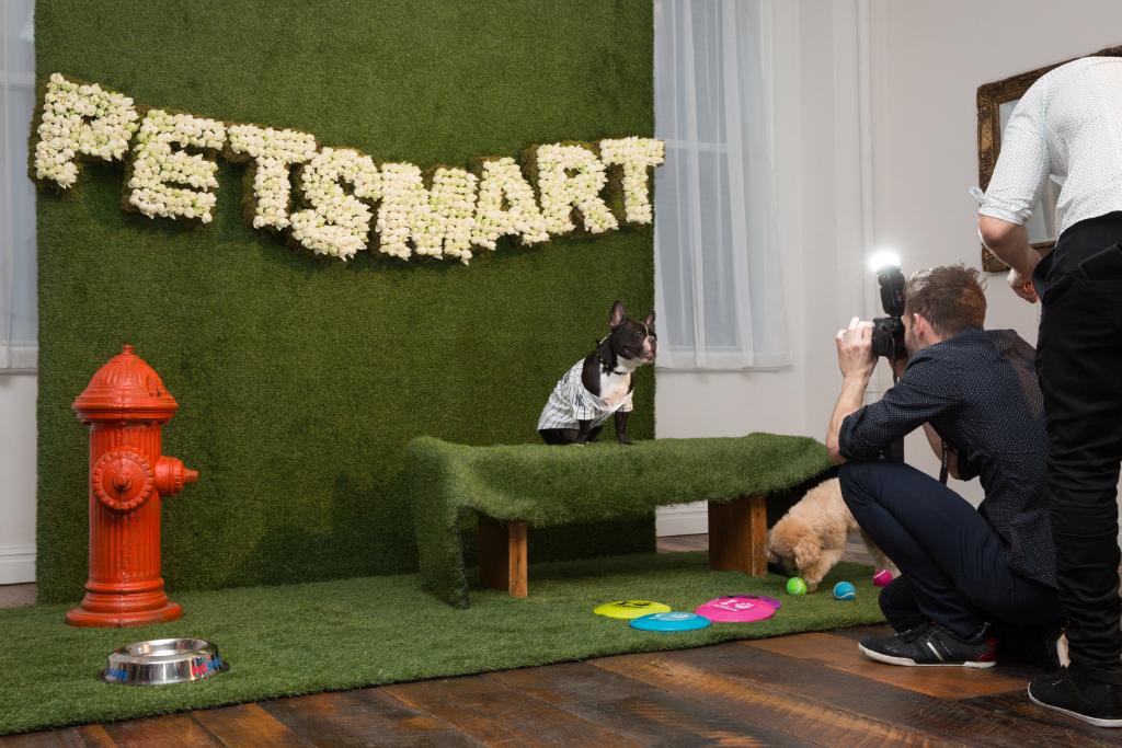 PetSmart's tweet photo. We loved pawtying with @OkMagazine: https://t.co/JdQeSSkaDp #SpringIntoPetSmart https://t.co/pT7nCgrN4G