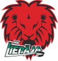 Liels prieks par mūsu hokejistiem! Apsveicu <a href="/hkliepaja/">Liepājas hokeja komanda</a> ar uzvaru 4:2!