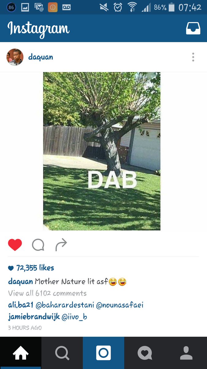 MagesticLife's tweet photo. #dab #dabbin  #tree #blow #sway #PowerpuffYourself #dabs #shatter #wax #baked #high #weed #funny https://t.co/QYS4JaiH1l
