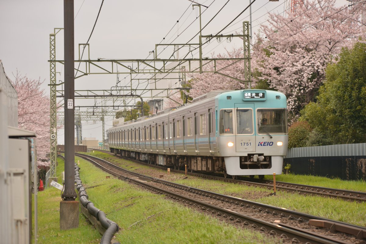 Sk_rainie's tweet photo. 2016.4.1　京王井の頭線と桜
浜田山6号踏切付近にて

#ファインダー越しの私の世界 
#井の頭線
#鉄道と桜
#桜
#1779F
#1751F
#1784F
#1783F https://t.co/m7aidfAsWG