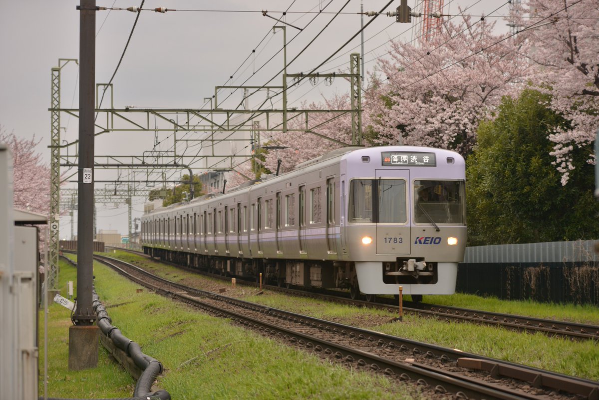 Sk_rainie's tweet photo. 2016.4.1　京王井の頭線と桜
浜田山6号踏切付近にて

#ファインダー越しの私の世界 
#井の頭線
#鉄道と桜
#桜
#1779F
#1751F
#1784F
#1783F https://t.co/m7aidfAsWG