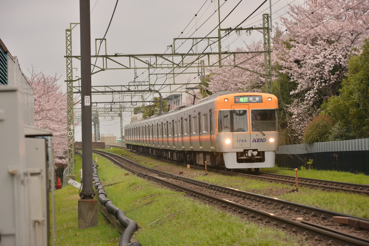 Sk_rainie's tweet photo. 2016.4.1　京王井の頭線と桜
浜田山6号踏切付近にて

#ファインダー越しの私の世界 
#井の頭線
#鉄道と桜
#桜
#1779F
#1751F
#1784F
#1783F https://t.co/m7aidfAsWG