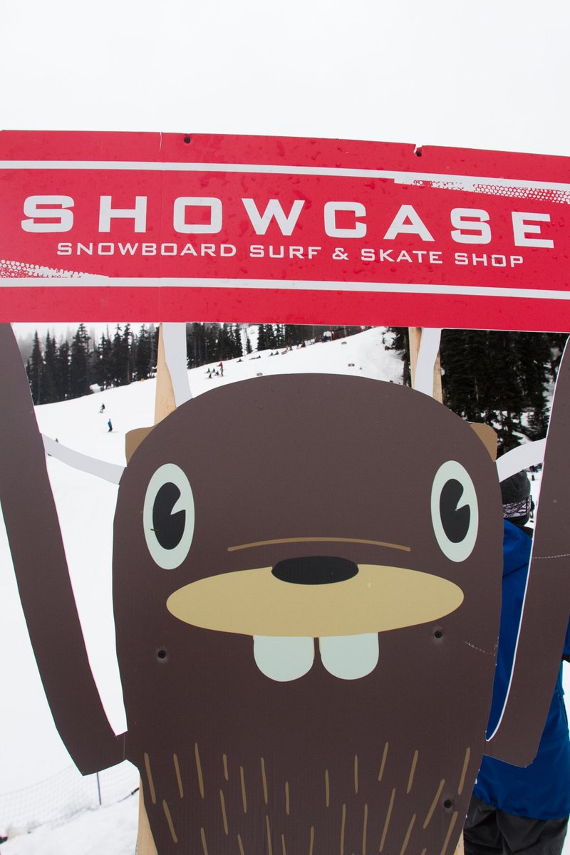 Showcase Snowboards tweet media