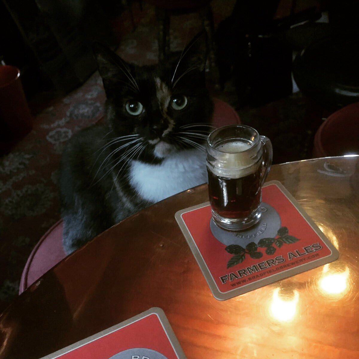 #beeroclock