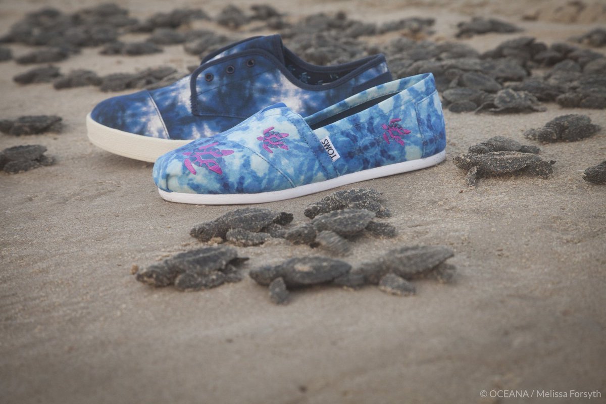 oceana's tweet photo. Check out our new partnership with the #TOMSAnimalInitiative! https://t.co/dsZWhq3rSi @TOMS https://t.co/NutT8lWcoU