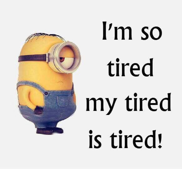sleepystripes's tweet photo. Me right now. #savethebellydancers #teamcase42 #50hourslam #wtf #exhaustedisanunderstatement https://t.co/rQntf6SH3y