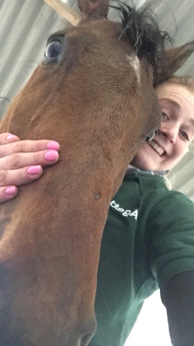 Shulton_Fay's tweet image. Go on Donald!!!! Good days racing!!! Well done Jamie Bargary!    #uttoxeter #DeputyCommander #winner #TeamNTD 🐎💨💨