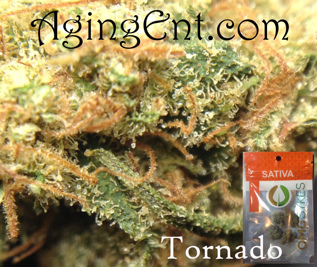 theAgingEnt's tweet photo. #Tornado @OMG_Sykes
https://t.co/EYNLFFPLFZ
#WAPot #StonerNation #review #uplift #smokeweedeveryday #olderpost https://t.co/EKjjMVKIqU