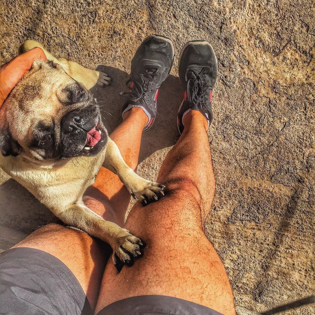 CladiaCardena's tweet photo. #puf #pet #zo #single #piernas #godlegs #kiss #love #mascota #likes #like by kriztianzo https://t.co/lhFbnZyXIL