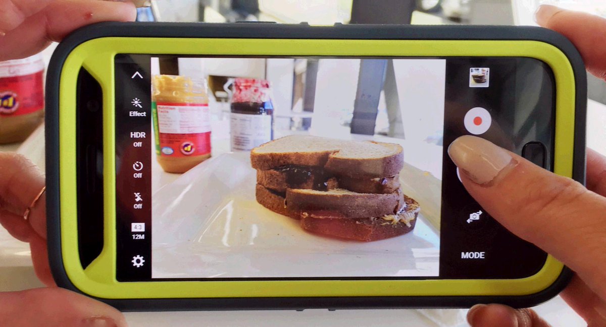 OtterBox's tweet photo. Happy #NationalPeanutButterAndJellyDay! We want to know, do you prefer crust or no crust? #crustornocrust https://t.co/m8CSH1a67s