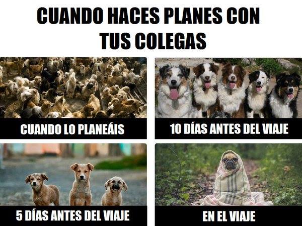 MejoresTwits's tweet photo. Cuando haces un plan con los colegas https://t.co/yAwLz2TRSi