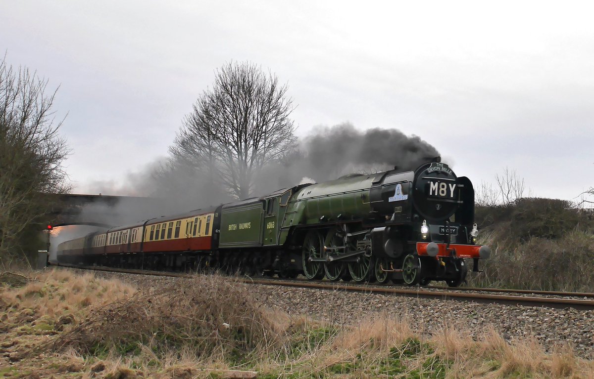 iwcond's tweet photo. @60163_Tornado hauling the #devonbelle across #Hungerford common this evening with black #Steam https://t.co/ur0Yf2Swdd