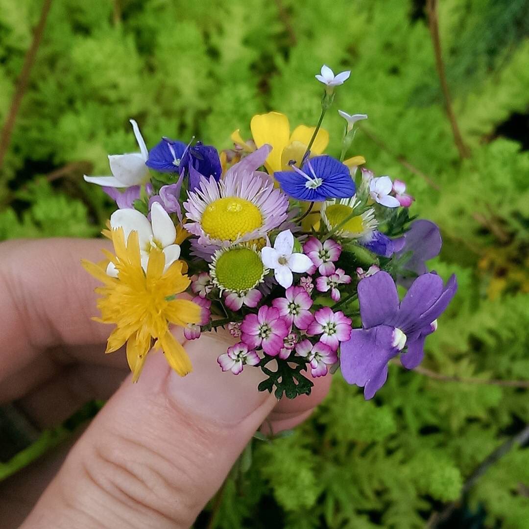 VermontNRCS's tweet photo. #spring is coming soon. I just know it. #snowfirst #patience #greeningofVT #ilovermont https://t.co/UJG6bAQju4