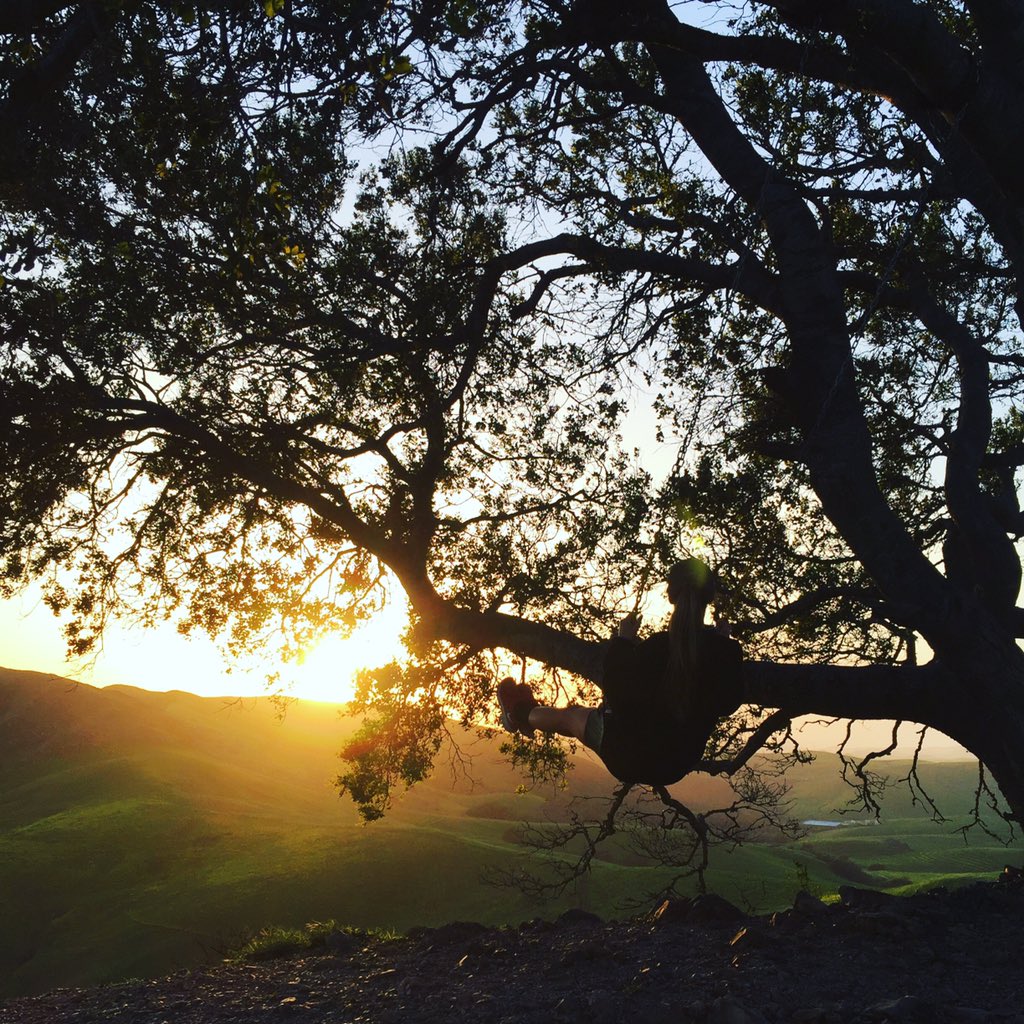sbtaste_'s tweet photo. #HappyMonday! #seeslo #CentralCoast #travelcalifornia #MotivationMonday #Monday https://t.co/JDg7ABIOm5