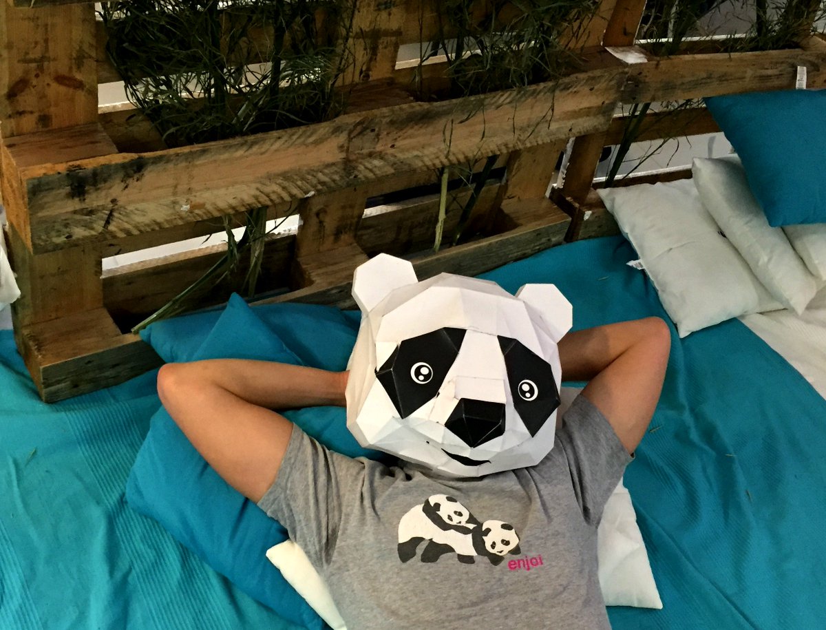 PartidoMeme's tweet photo. Twitter nunca ha sido mejor... MEMO ha llegado! #únetealpanda #memolamonta #votameme #fcsc #elecciones2016 https://t.co/bo8BZ4rbYb