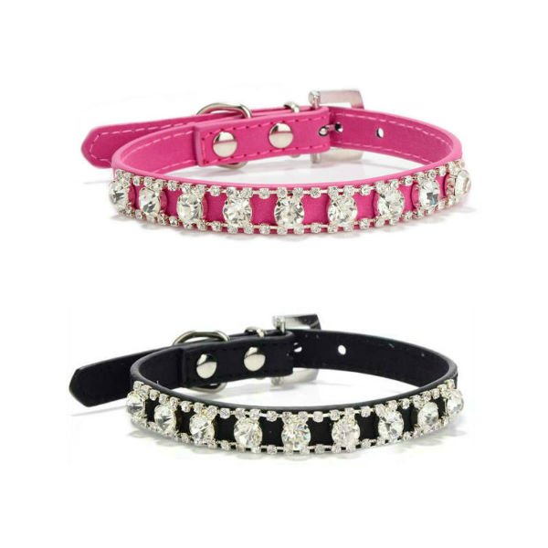 AnimoChic's tweet photo. Superbe collier à strass pour nos petites princesses !!
https://t.co/gdmGdtK1rS
#collier #chien #promenade https://t.co/L0PaKkvUdJ