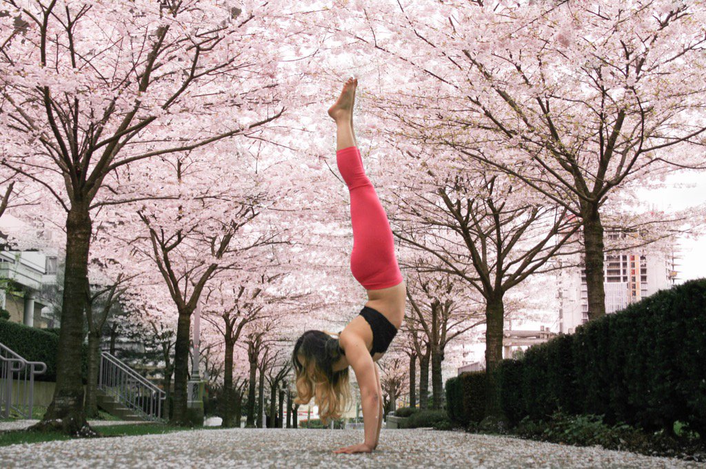 camleeyoga tweet picture