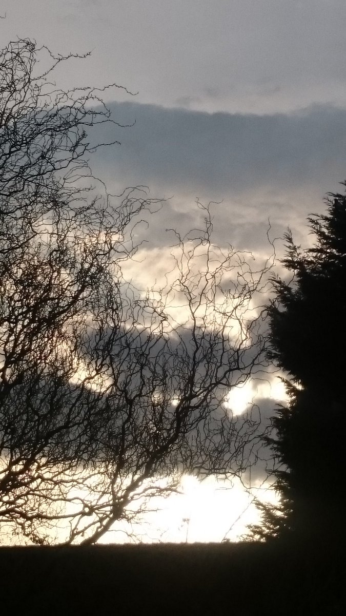 AlisonFlanders's tweet photo. This cloud looks like a #batoutahell #StormHour https://t.co/rk0HaHLBOz