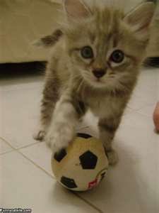 AdWi11iams's tweet photo. Happy birthday Cat Cullinaaaaane https://t.co/lODAeKXqL9