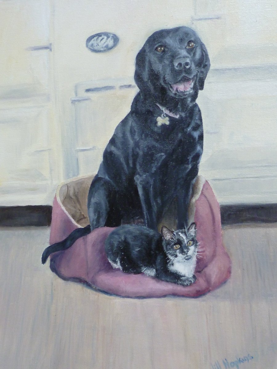 jamiswallow's tweet photo. the latest portrait - Cookie and Charlie Aga lovers!! https://t.co/aB1j21ghyX