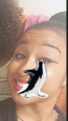 WHO DID THIS???