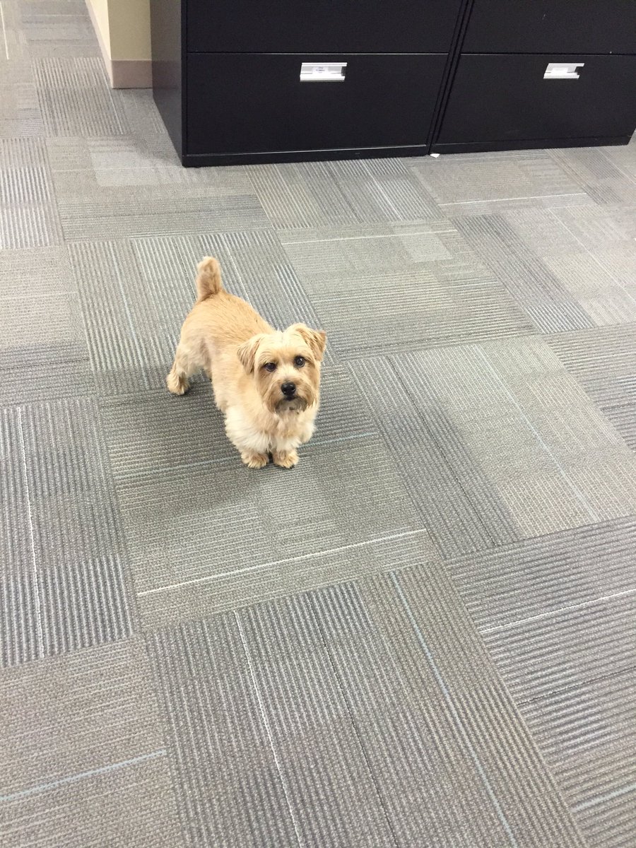 New employee at the office today