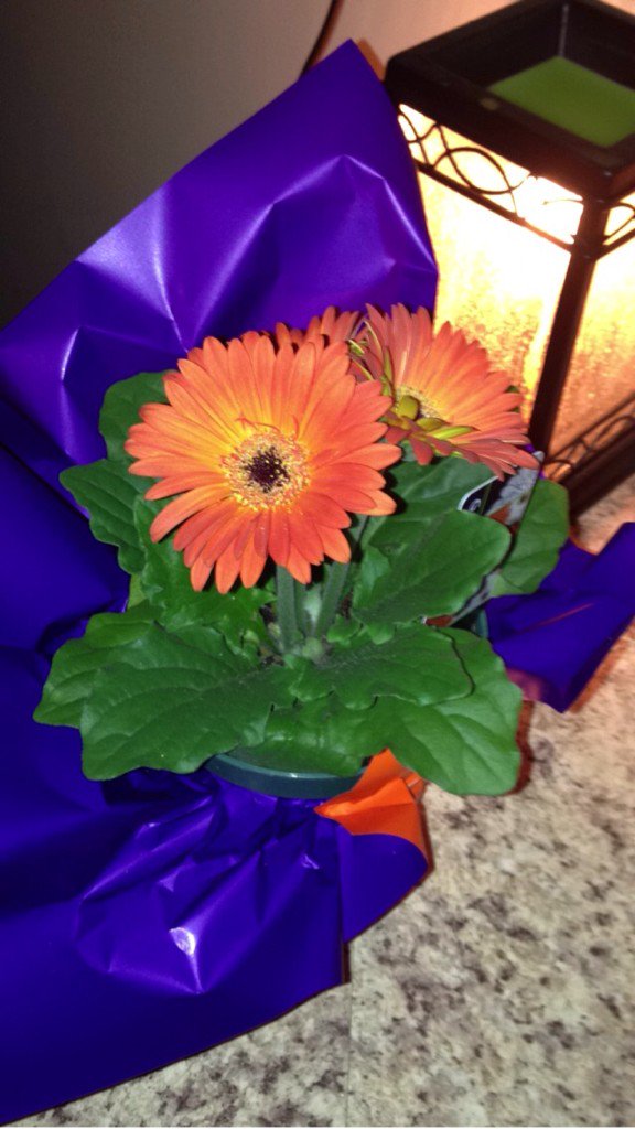 Always buying me flowers, lucky girl🌼💜