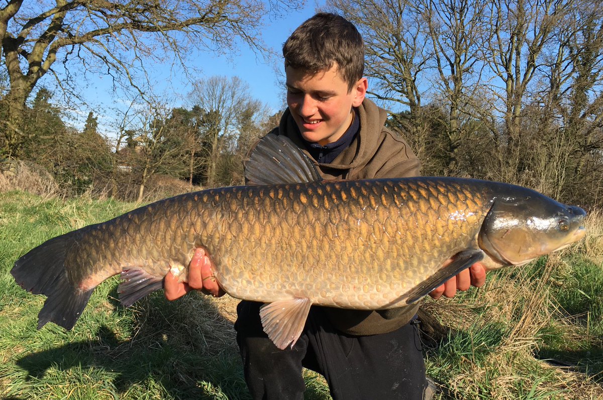 teddy_nelson1's tweet image. Park lake grass at 22lb 14oz ! Fell to a single VNF bottom bait @Xcelbaits @BTSangling