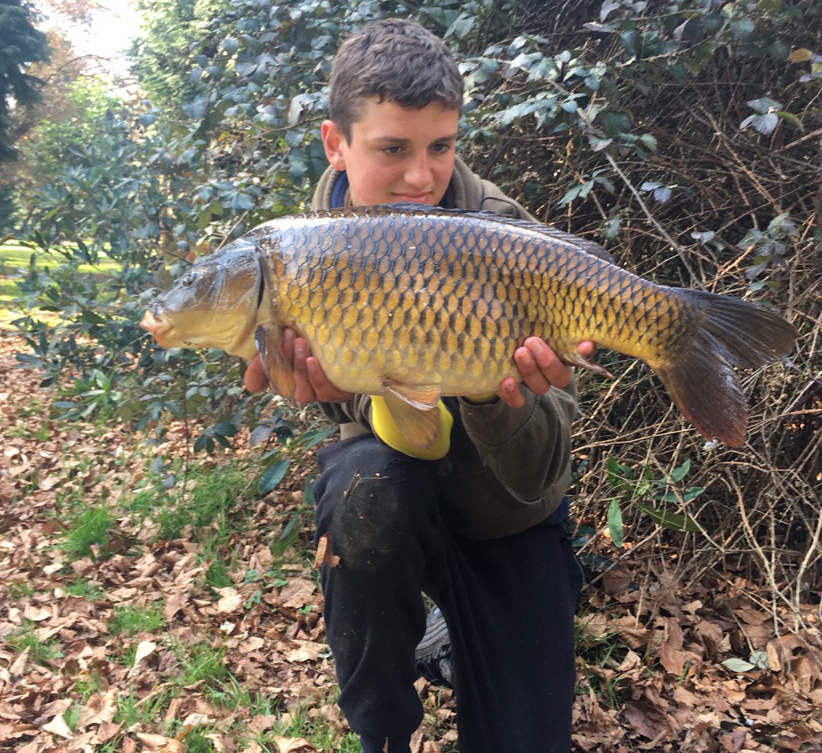 teddy_nelson1's tweet image. Little common to top the day of, fell to the VNF again topped with a yellow banoffe @Xcelbaits @BTSangling