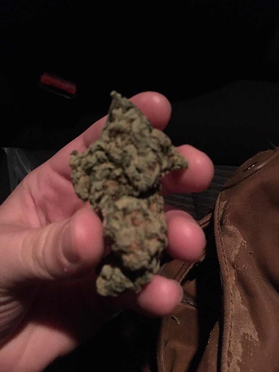 St0neyTurtle's tweet photo. Picked up this strain last night🔥#TrainWrek #Weedporn #Weed #420blazeit #maryjane #marijuana https://t.co/bd8Fqt6oQ5