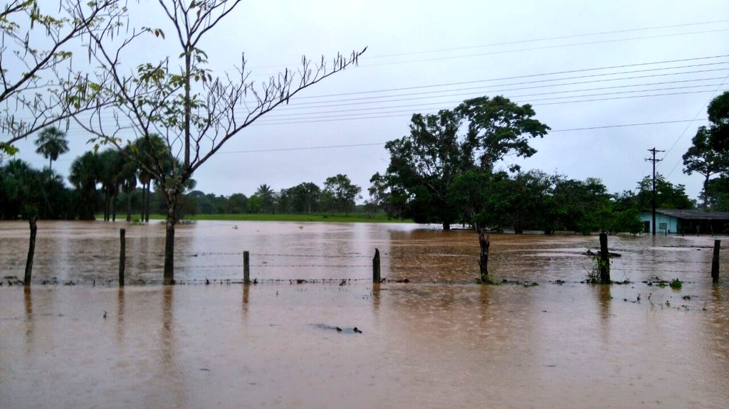 UNGRD's tweet photo. Imágenes de última hora de la fuerte lluvia que cayó en San José del Guaviare @IDEAMColombia @GoberGuaviare https://t.co/n5n0miWlna