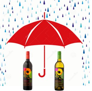 eppasangria's tweet photo. April showers bring May flowers. #EppaSangria https://t.co/zivm7l40mB